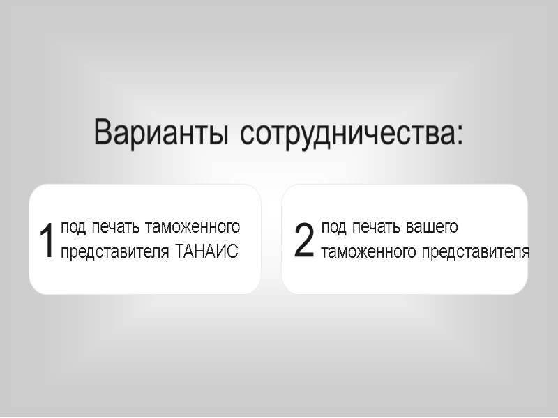 Варианты сотрудничества: под печать вашего таможенного представителя под печать таможенного представителя ТАНАИС 2 1